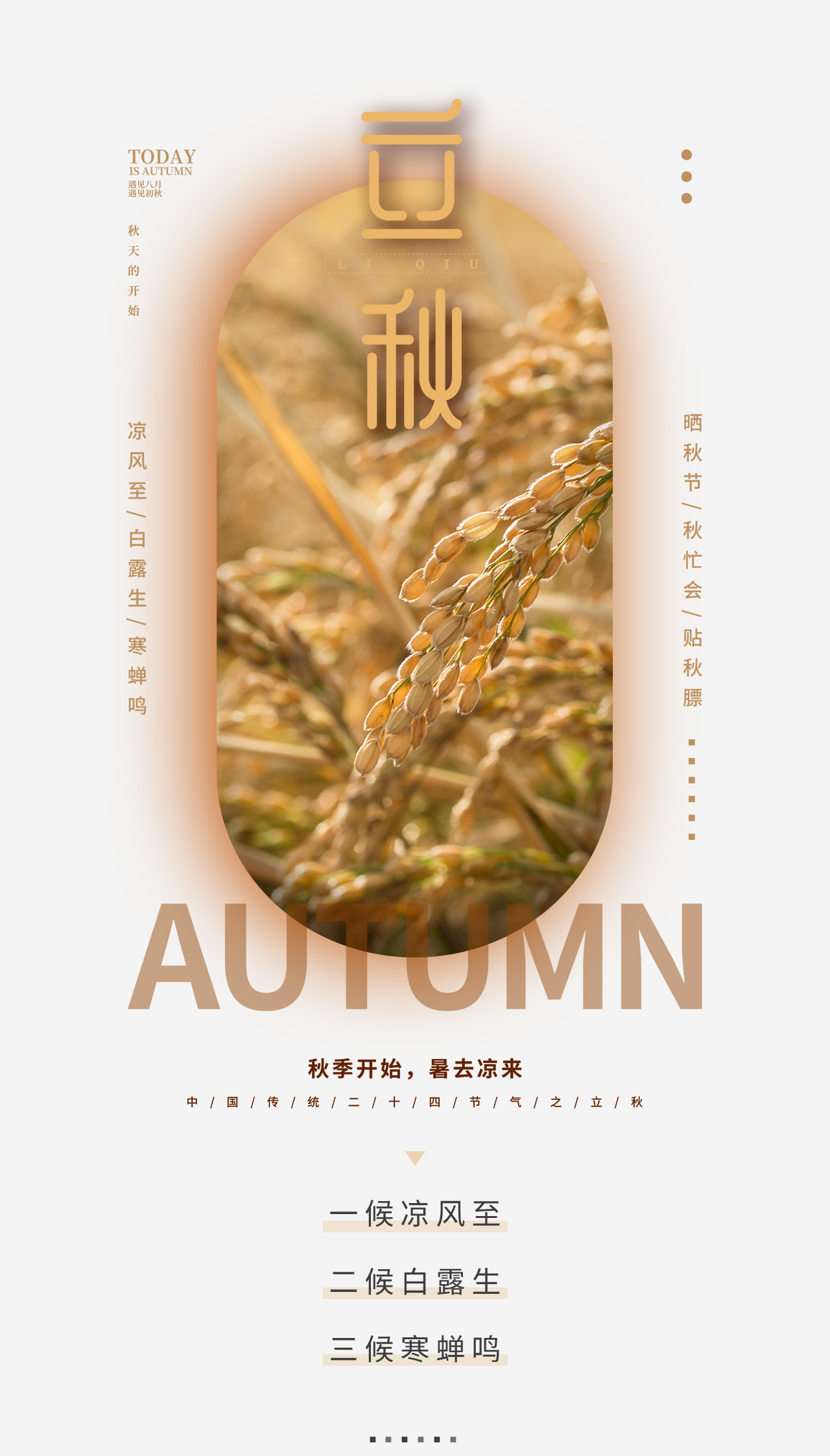 立秋丨云天收夏色，木叶动秋声~