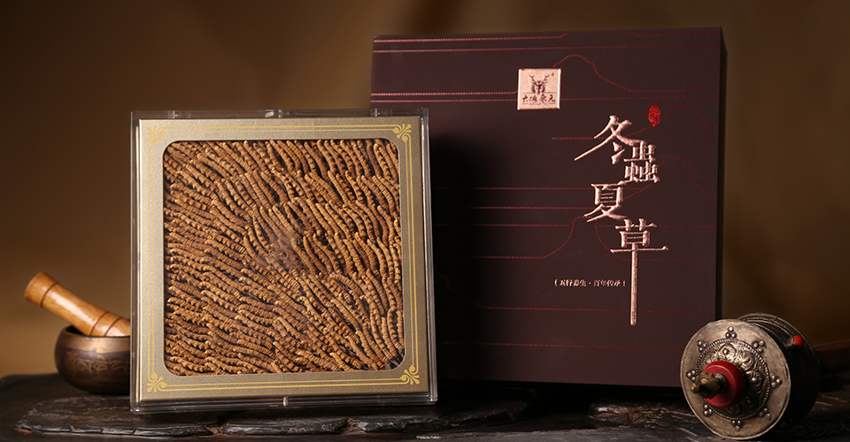 一年之计在于春，春季养生，养肝为先