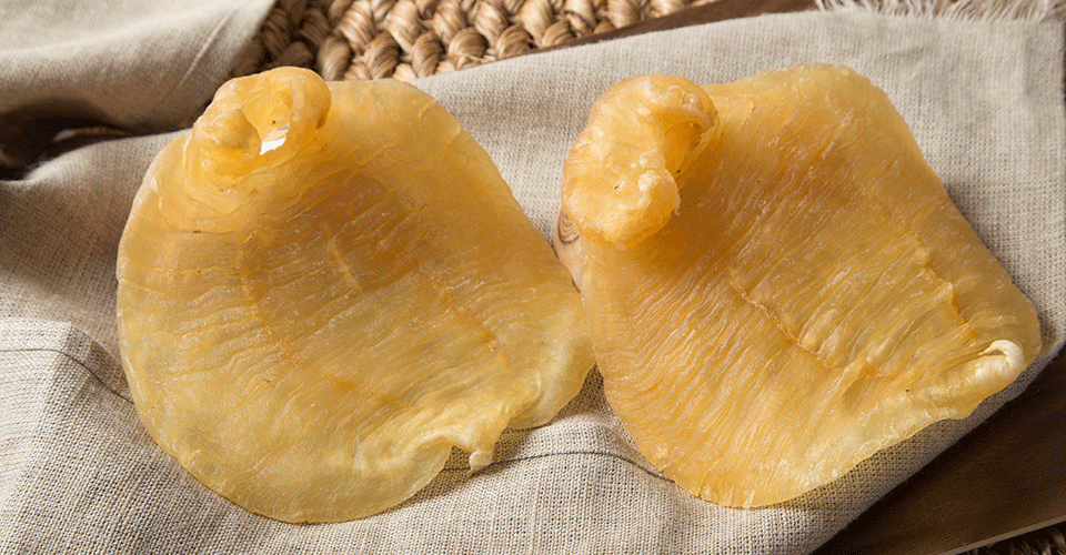 夏天吃花胶,4种吃法别错过!