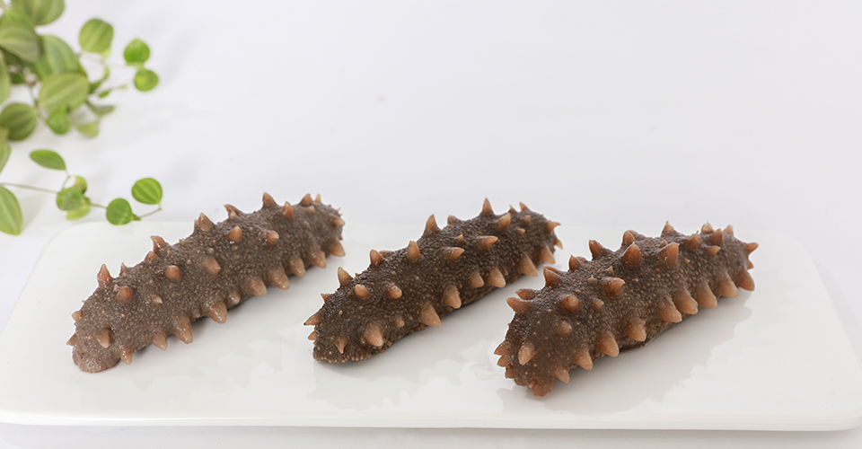 海参虽好，也要“适”得好！！！