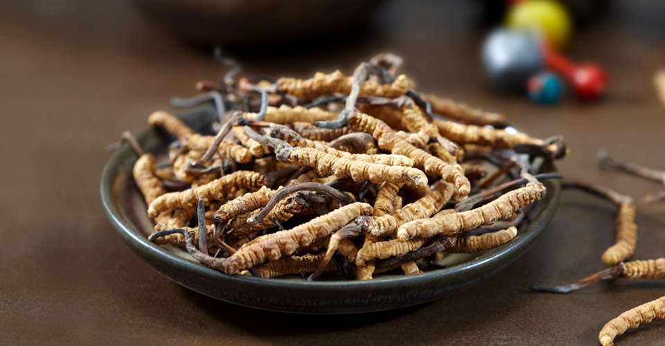 冬季健康养生知多少